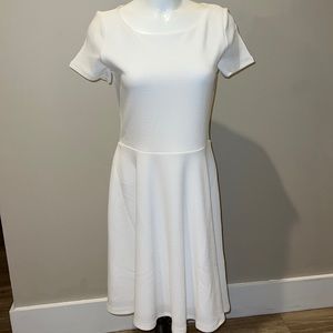 NWT White House Black Market dress